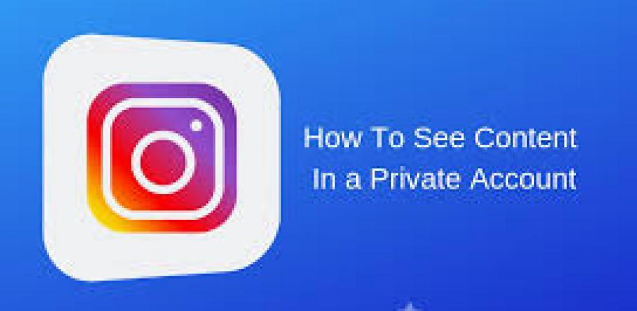 private instagram viewer without human verification